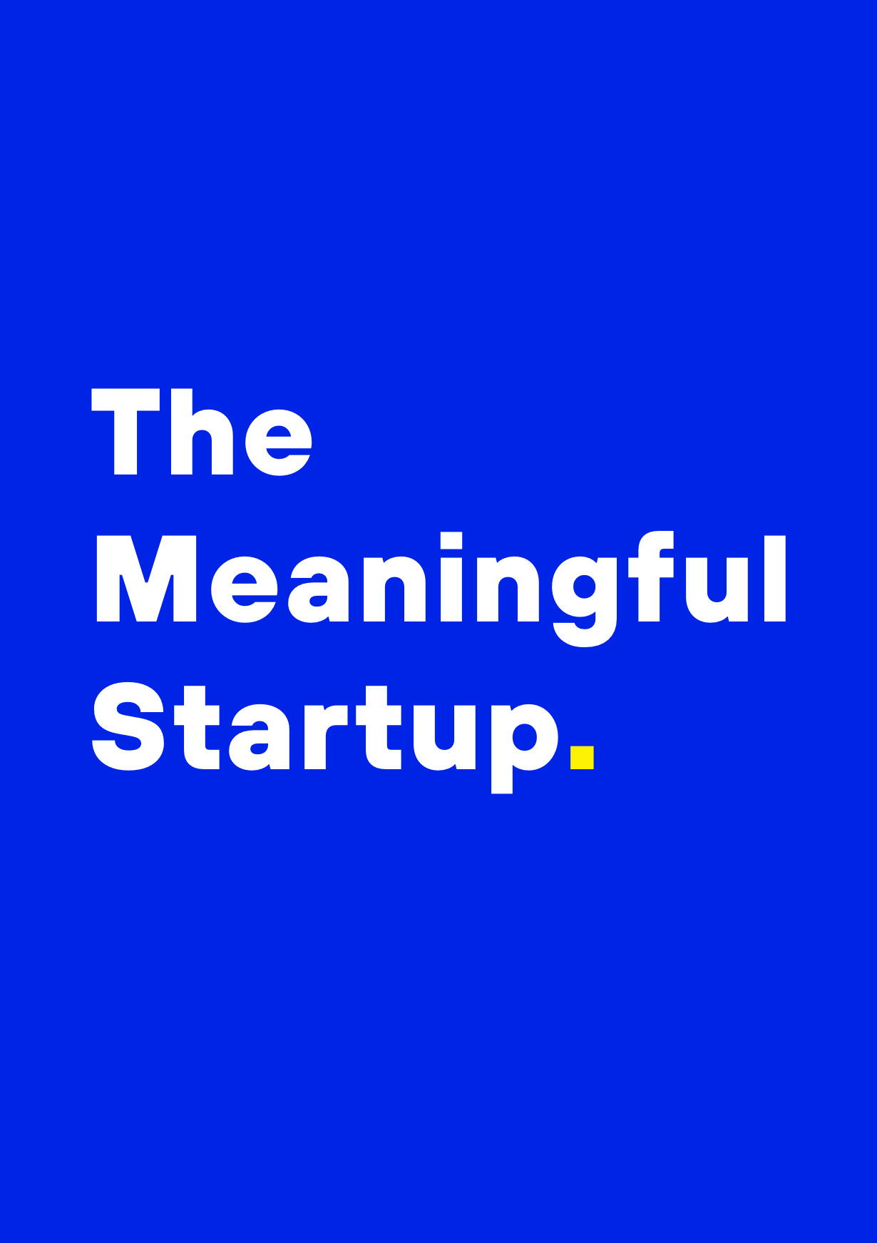 Unscharfe Vorschau des Covers von The Meaningful Startup